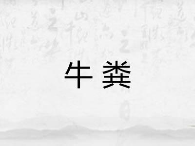 牛粪 牛粪