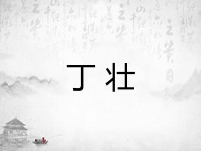 丁壮