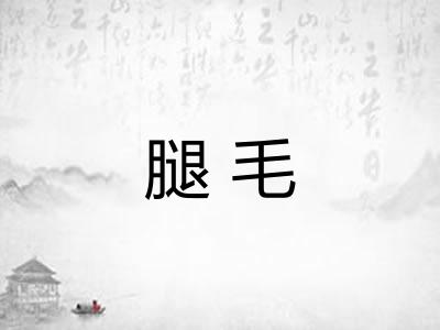腿毛