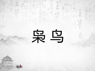 枭鸟 枭鸟