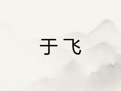 于飞 于飞
