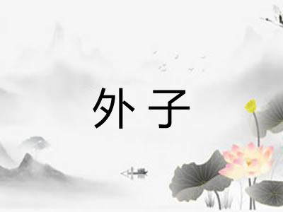 外子 外子