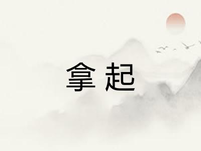 拿起