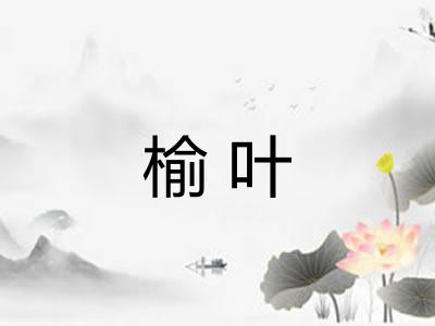 榆叶