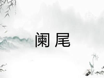 阑尾 阑尾