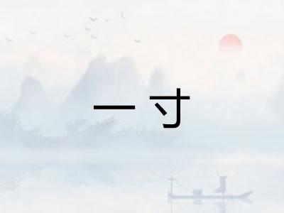 一寸
