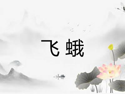 飞蛾