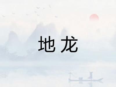 地龙