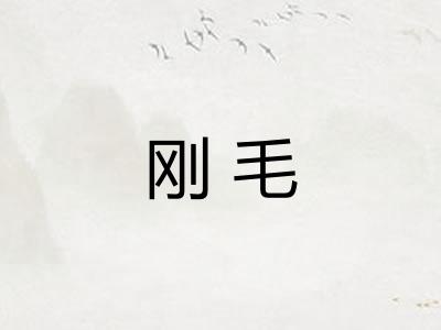 刚毛 刚毛