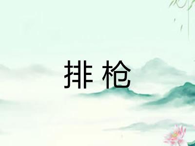 排枪