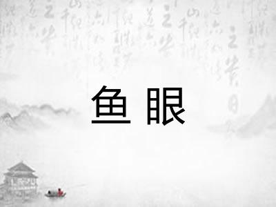 鱼眼 鱼眼