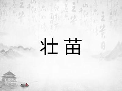 壮苗
