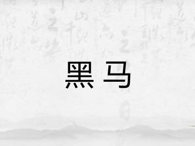 黑马 黑马