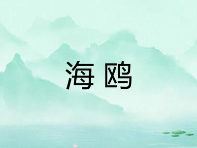 海鸥 海鸥