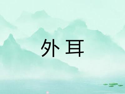 外耳 外耳