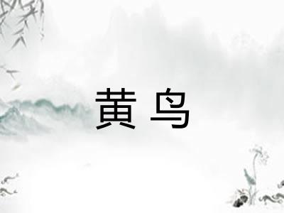 黄鸟