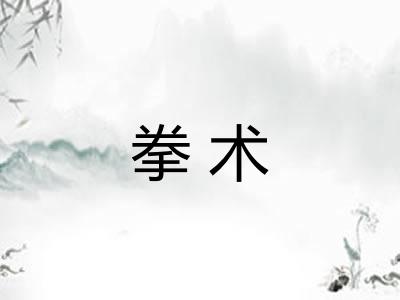 拳术