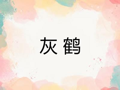 灰鹤