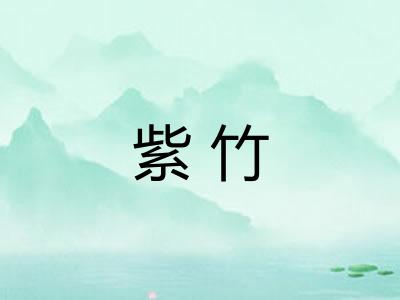 紫竹 紫竹