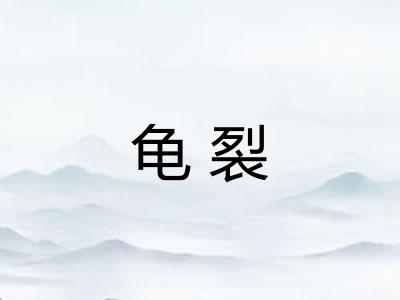龟裂 龟裂