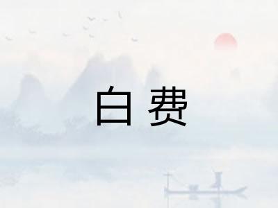 白费 白费