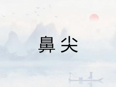 鼻尖 鼻尖
