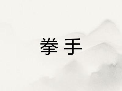 拳手