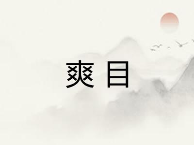 爽目