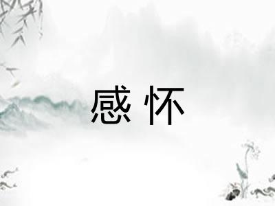 感怀 感怀