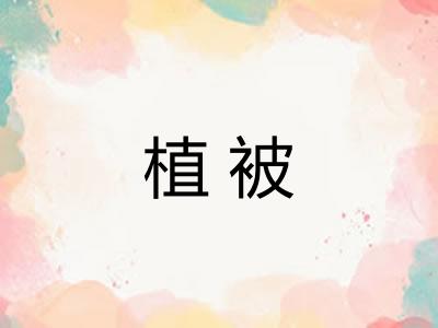 植被