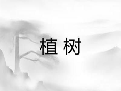 植树