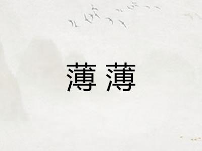 薄薄