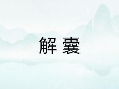 解囊 解囊