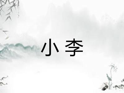 小李 小李