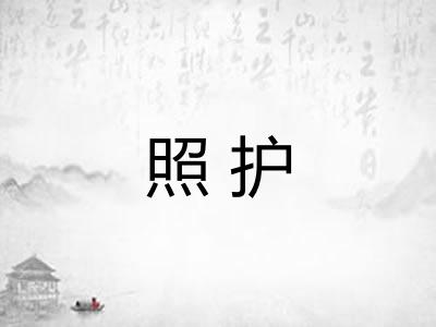 照护 照护