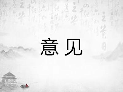 意见
