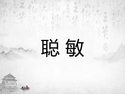 聪敏 聪敏