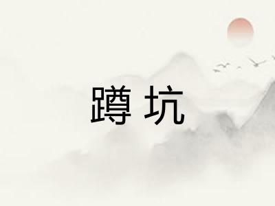 蹲坑