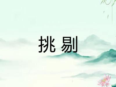 挑剔