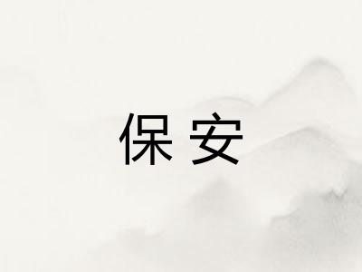 保安