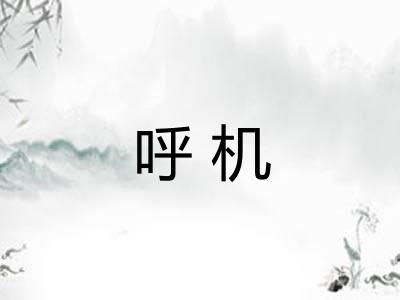 呼机