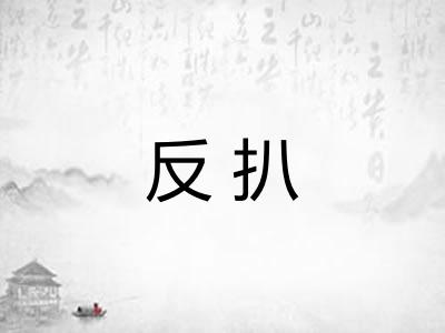 反扒 反扒