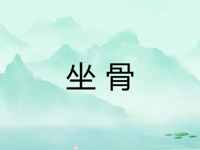 坐骨