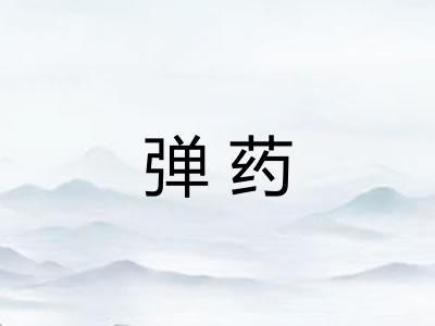 弹药 弹药