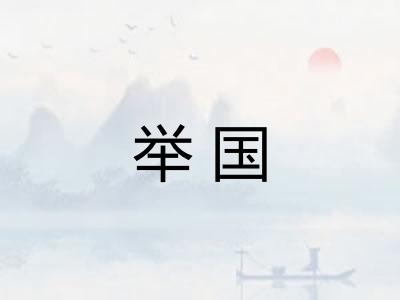 举国