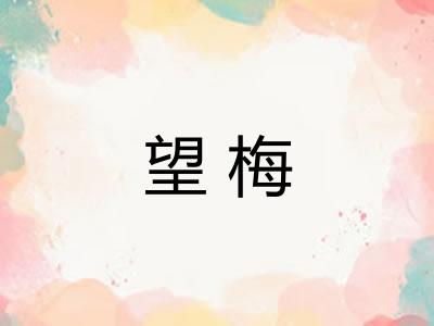 望梅 望梅