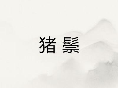 猪鬃