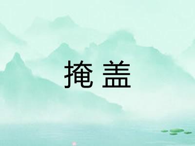 掩盖