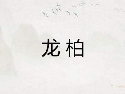 龙柏