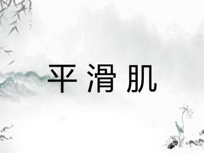 平滑肌